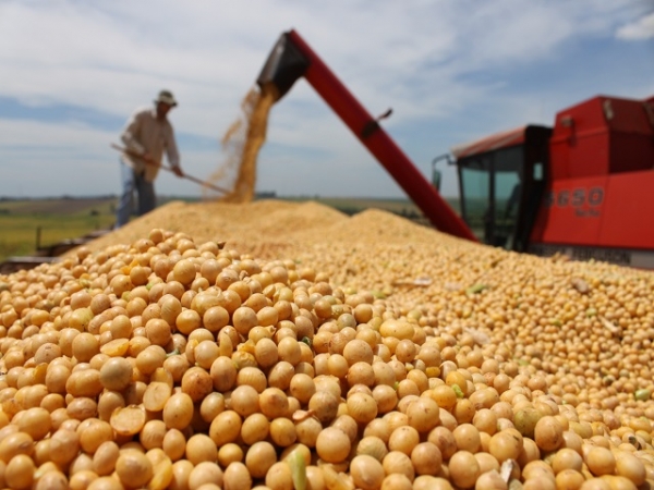 Safra de grãos deve alcançar recorde com 219 milhões de toneladas