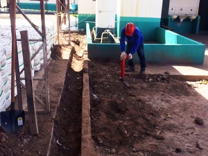 Centrais Campo Limpo passarão por reformas em 2017